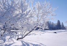 2020年四川师范大学自考专业成人高等学历教育专科、本科、专升本招生专业一览表-四川师范大学_成人专升本学历报名网