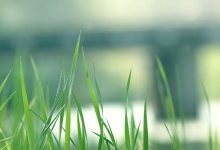 成人高考除了10月统考外,还有其他考试吗?-四川师范大学_成人专升本学历报名网