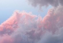 快看｜啥也不会，也能成考通过！-四川师范大学_成人专升本学历报名网