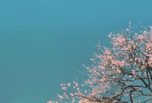 四川成人高考真的好考吗?录取后再交学费是真的吗?-四川师范大学_成人专升本学历报名网
