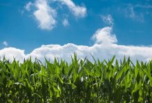 在校生如何选择自考-四川师范大学_成人专升本学历报名网