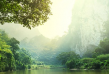 四川师范大学自考专业 成人高考报名时间是什么时候?-四川师范大学_成人专升本学历报名网