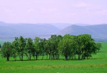 自学考试学历提升大自考可以转小自考吗?-四川师范大学_成人专升本学历报名网
